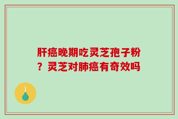 晚期吃灵芝孢子粉？灵芝对有奇效吗