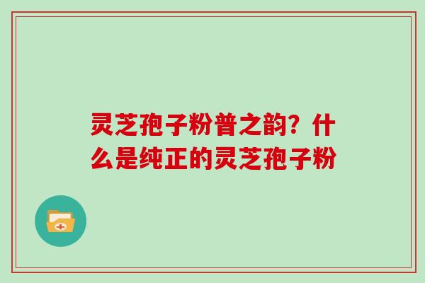 灵芝孢子粉普之韵？什么是纯正的灵芝孢子粉