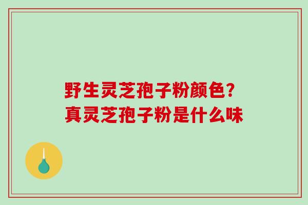 野生灵芝孢子粉颜色?真灵芝孢子粉是什么味 野生灵芝孢子粉颜色?真灵芝孢子粉是什么味