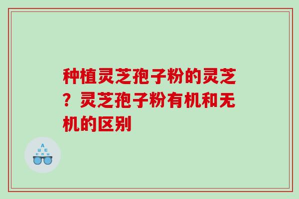 种植灵芝孢子粉的灵芝?灵芝孢子粉有机和无机的区别 种植灵芝孢子粉的灵芝?灵芝孢子粉有机和无机的区别