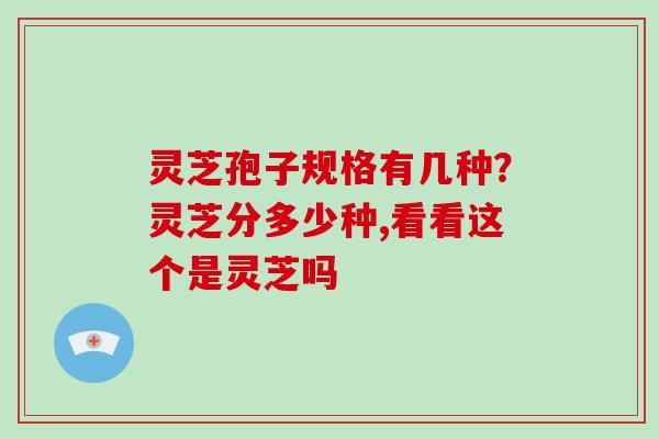 灵芝孢子规格有几种？灵芝分多少种,看看这个是灵芝吗