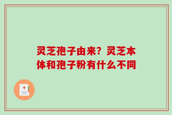 灵芝孢子由来？灵芝本体和孢子粉有什么不同