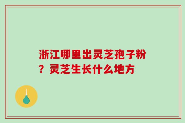 浙江哪里出灵芝孢子粉？灵芝生长什么地方