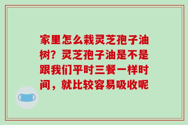 家里怎么栽灵芝孢子油树？灵芝孢子油是不是跟我们平时三餐一样时间，就比较容易吸收呢