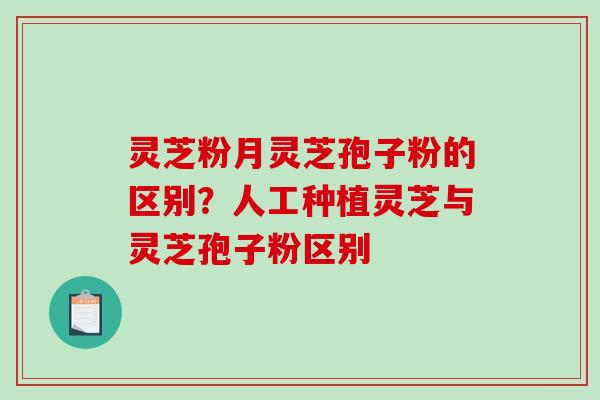 灵芝粉月灵芝孢子粉的区别?人工种植灵芝与灵芝孢子粉区别 灵芝粉月灵芝孢子粉的区别?人工种植灵芝与灵芝孢子粉区别