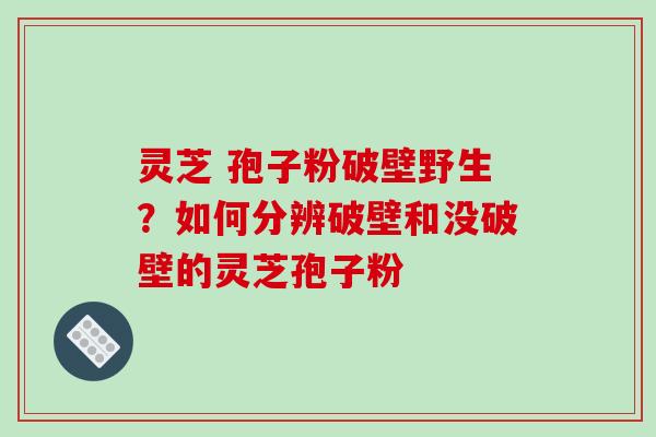 灵芝 孢子粉破壁野生？如何分辨破壁和没破壁的灵芝孢子粉
