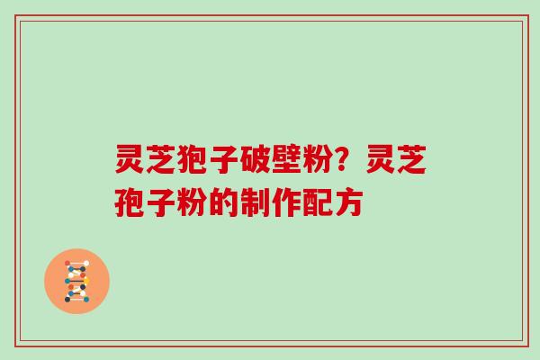 灵芝狍子破壁粉？灵芝孢子粉的制作配方
