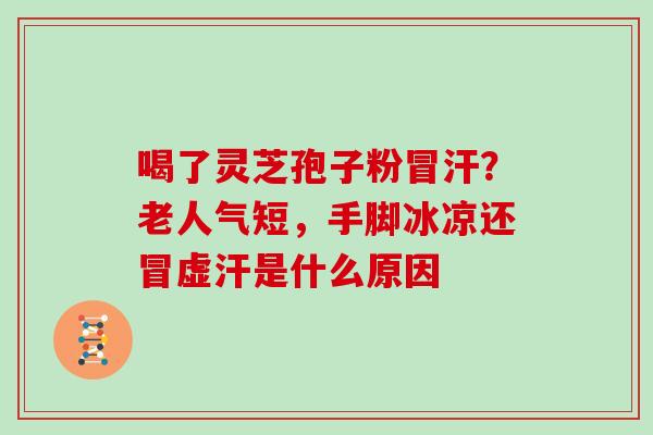 喝了灵芝孢子粉冒汗？老人气短，手脚冰凉还冒虚汗是什么原因