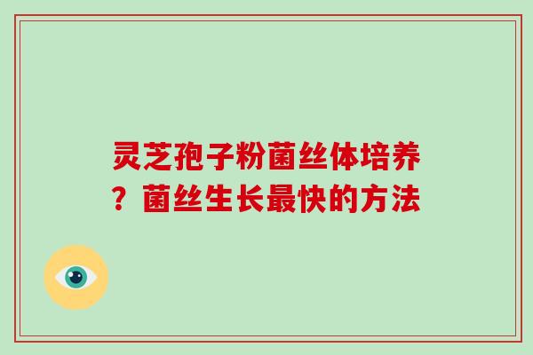 灵芝孢子粉菌丝体培养？菌丝生长快的方法