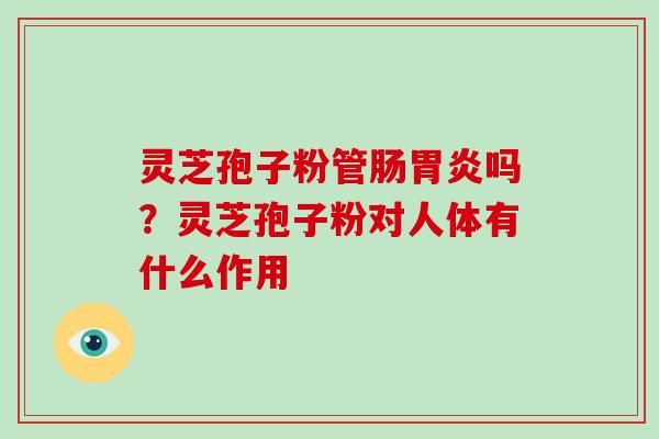 灵芝孢子粉管肠吗?灵芝孢子粉对人体有什么作用 灵芝孢子粉管肠吗?灵芝孢子粉对人体有什么作用