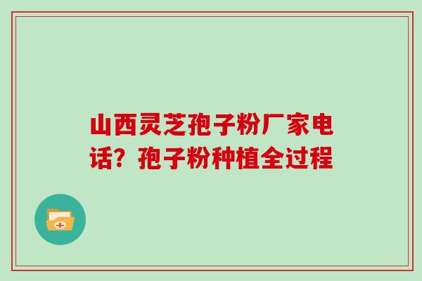 山西灵芝孢子粉厂家电话？孢子粉种植全过程