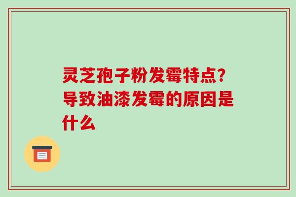 灵芝孢子粉发霉特点？导致油漆发霉的原因是什么