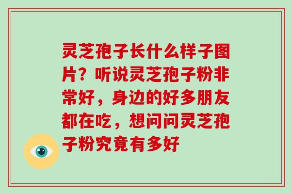 灵芝孢子长什么样子图片？听说灵芝孢子粉非常好，身边的好多朋友都在吃，想问问灵芝孢子粉究竟有多好