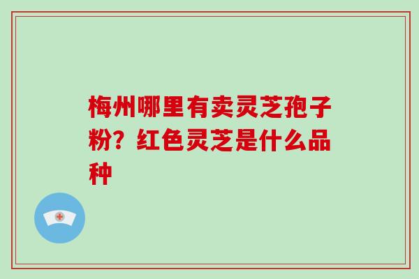 梅州哪里有卖灵芝孢子粉？红色灵芝是什么品种