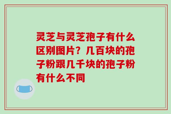 灵芝与灵芝孢子有什么区别图片?几百块的孢子粉跟几千块的孢子粉有什么不同 灵芝与灵芝孢子有什么区别图片?几百块的孢子粉跟几千块的孢子粉有什么不同