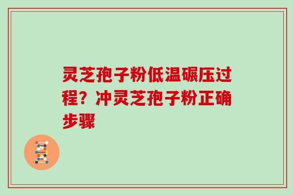 灵芝孢子粉低温碾压过程？冲灵芝孢子粉正确步骤