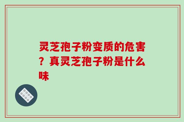 灵芝孢子粉变质的危害?真灵芝孢子粉是什么味 灵芝孢子粉变质的危害?真灵芝孢子粉是什么味