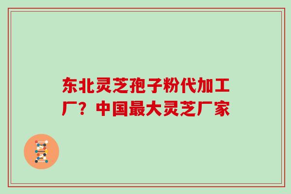 东北灵芝孢子粉代加工厂?中国大灵芝厂家 东北灵芝孢子粉代加工厂?中国大灵芝厂家