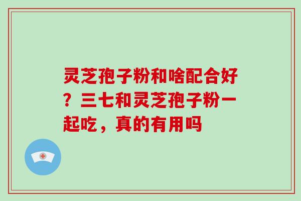 灵芝孢子粉和啥配合好？三七和灵芝孢子粉一起吃，真的有用吗