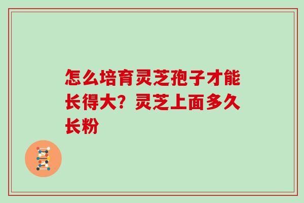 怎么培育灵芝孢子才能长得大？灵芝上面多久长粉