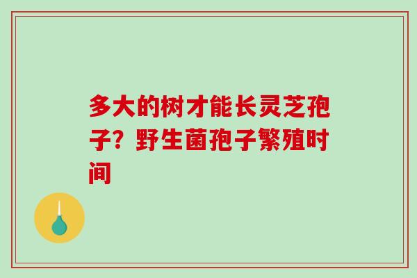 多大的树才能长灵芝孢子？野生菌孢子繁殖时间