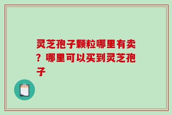 灵芝孢子颗粒哪里有卖？哪里可以买到灵芝孢子