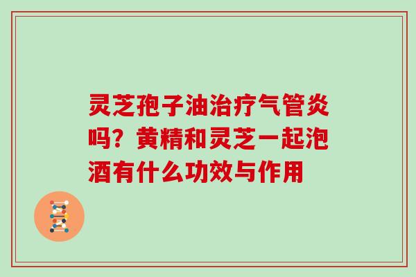 灵芝孢子油气管炎吗?黄精和灵芝一起泡酒有什么功效与作用 灵芝孢子油气管炎吗?黄精和灵芝一起泡酒有什么功效与作用