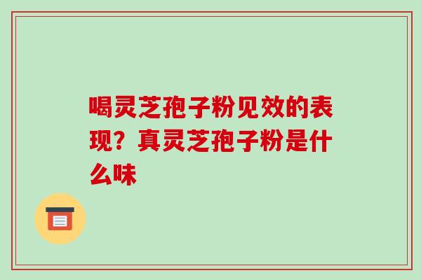 喝灵芝孢子粉见效的表现？真灵芝孢子粉是什么味