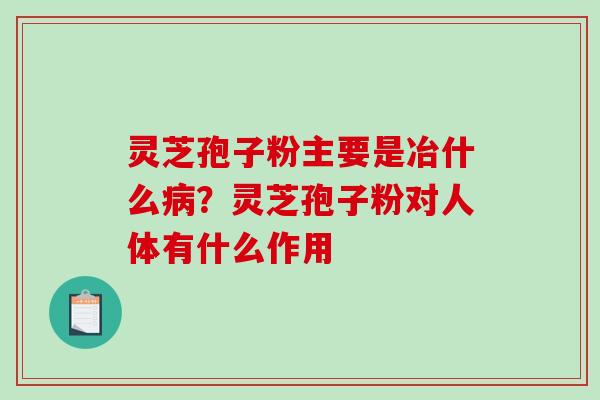 灵芝孢子粉主要是冶什么？灵芝孢子粉对人体有什么作用