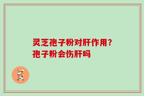 灵芝孢子粉对作用？孢子粉会伤吗