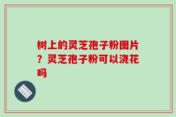 树上的灵芝孢子粉图片?灵芝孢子粉可以浇花吗 树上的灵芝孢子粉图片?灵芝孢子粉可以浇花吗