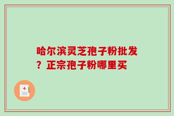 哈尔滨灵芝孢子粉批发?正宗孢子粉哪里买 哈尔滨灵芝孢子粉批发?正宗孢子粉哪里买