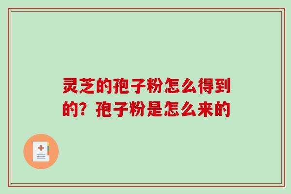 灵芝的孢子粉怎么得到的?孢子粉是怎么来的 灵芝的孢子粉怎么得到的?孢子粉是怎么来的