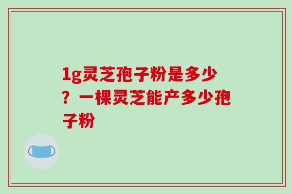 1g灵芝孢子粉是多少?一棵灵芝能产多少孢子粉 1g灵芝孢子粉是多少?一棵灵芝能产多少孢子粉