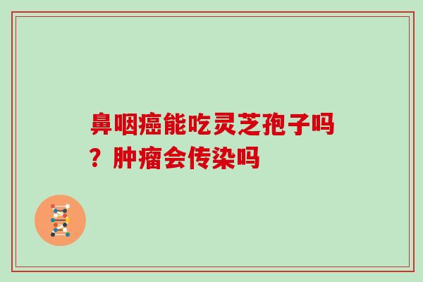 鼻咽能吃灵芝孢子吗?会传染吗 鼻咽能吃灵芝孢子吗?会传染吗