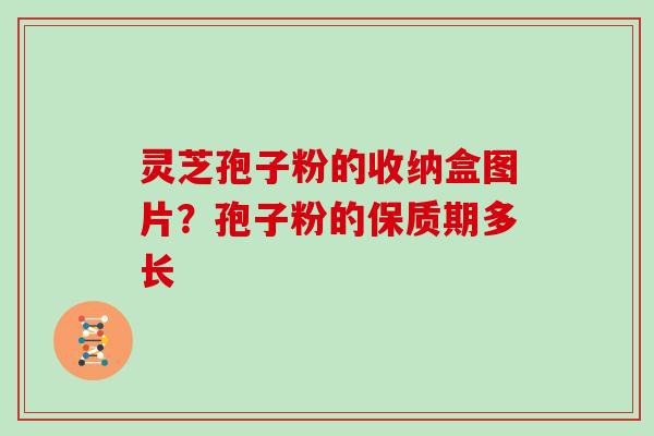 灵芝孢子粉的收纳盒图片?孢子粉的保质期多长 灵芝孢子粉的收纳盒图片?孢子粉的保质期多长