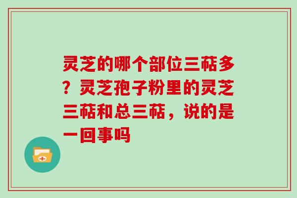 灵芝的哪个部位三萜多？灵芝孢子粉里的灵芝三萜和总三萜，说的是一回事吗