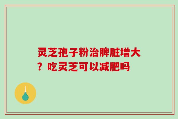 灵芝孢子粉脾脏增大？吃灵芝可以吗