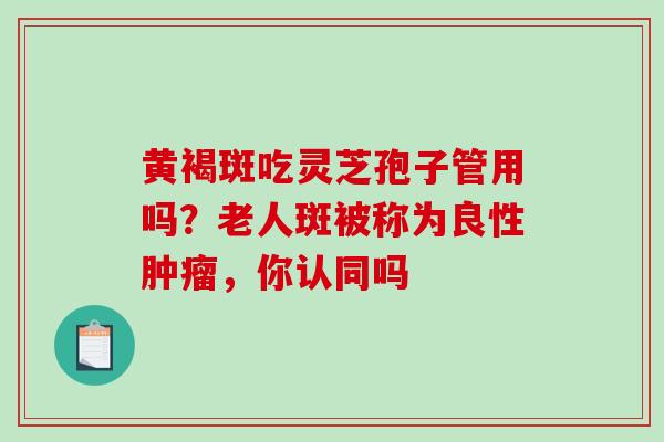 黄褐斑吃灵芝孢子管用吗?老人斑被称为良性,你认同吗 黄褐斑吃灵芝孢子管用吗?老人斑被称为良性,你认同吗