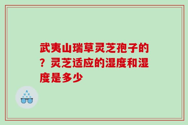 武夷山瑞草灵芝孢子的？灵芝适应的湿度和湿度是多少