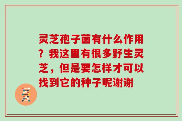 灵芝孢子菌有什么作用？我这里有很多野生灵芝，但是要怎样才可以找到它的种子呢谢谢