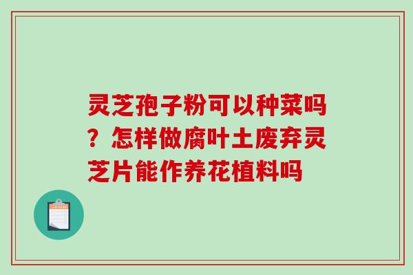 灵芝孢子粉可以种菜吗?怎样做腐叶土废弃灵芝片能作养花植料吗 灵芝孢子粉可以种菜吗?怎样做腐叶土废弃灵芝片能作养花植料吗
