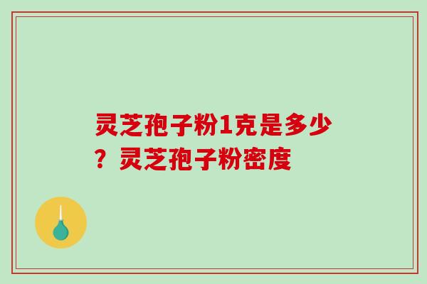 灵芝孢子粉1克是多少？灵芝孢子粉密度