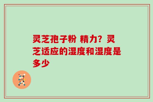 灵芝孢子粉 精力?灵芝适应的湿度和湿度是多少 灵芝孢子粉 精力?灵芝适应的湿度和湿度是多少