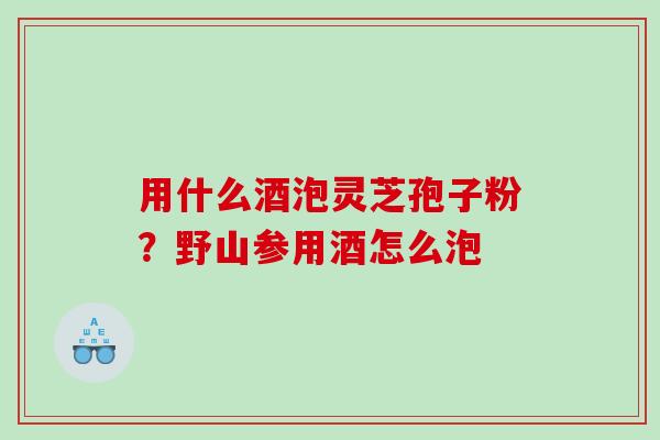用什么酒泡灵芝孢子粉？野山参用酒怎么泡