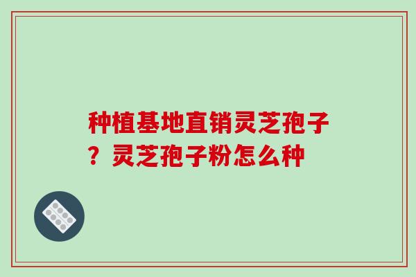 种植基地直销灵芝孢子?灵芝孢子粉怎么种 种植基地直销灵芝孢子?灵芝孢子粉怎么种