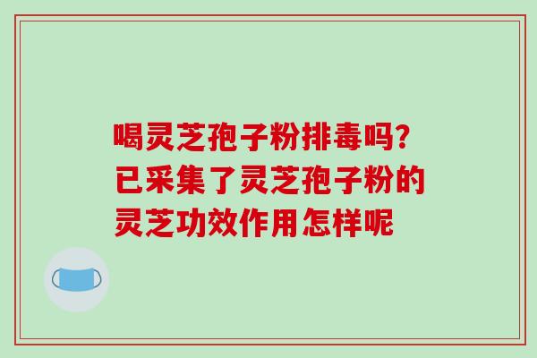喝灵芝孢子粉吗?已采集了灵芝孢子粉的灵芝功效作用怎样呢 喝灵芝孢子粉吗?已采集了灵芝孢子粉的灵芝功效作用怎样呢