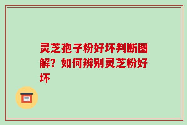 灵芝孢子粉好坏判断图解？如何辨别灵芝粉好坏