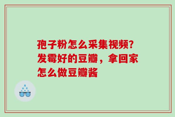 孢子粉怎么采集视频？发霉好的豆瓣，拿回家怎么做豆瓣酱