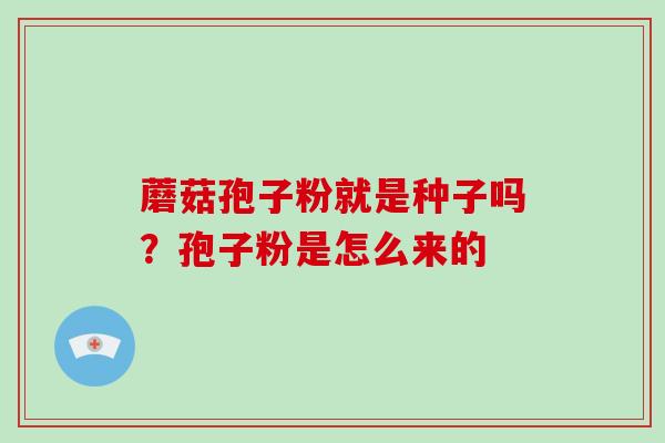 蘑菇孢子粉就是种子吗？孢子粉是怎么来的
